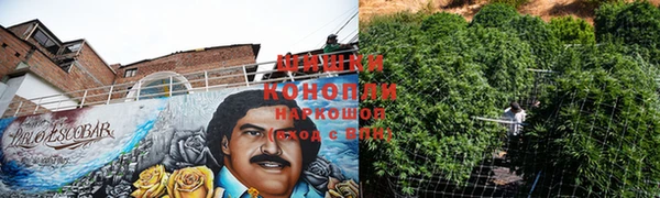 прущий лед Белокуриха