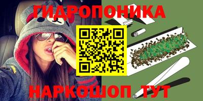 jwh Ставрополь