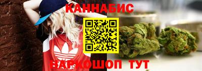 jwh Ставрополь