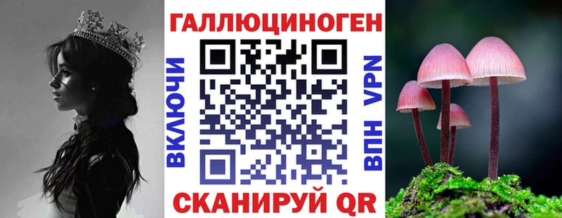 Псилоцибиновые грибы прущие грибы  Сегежа 