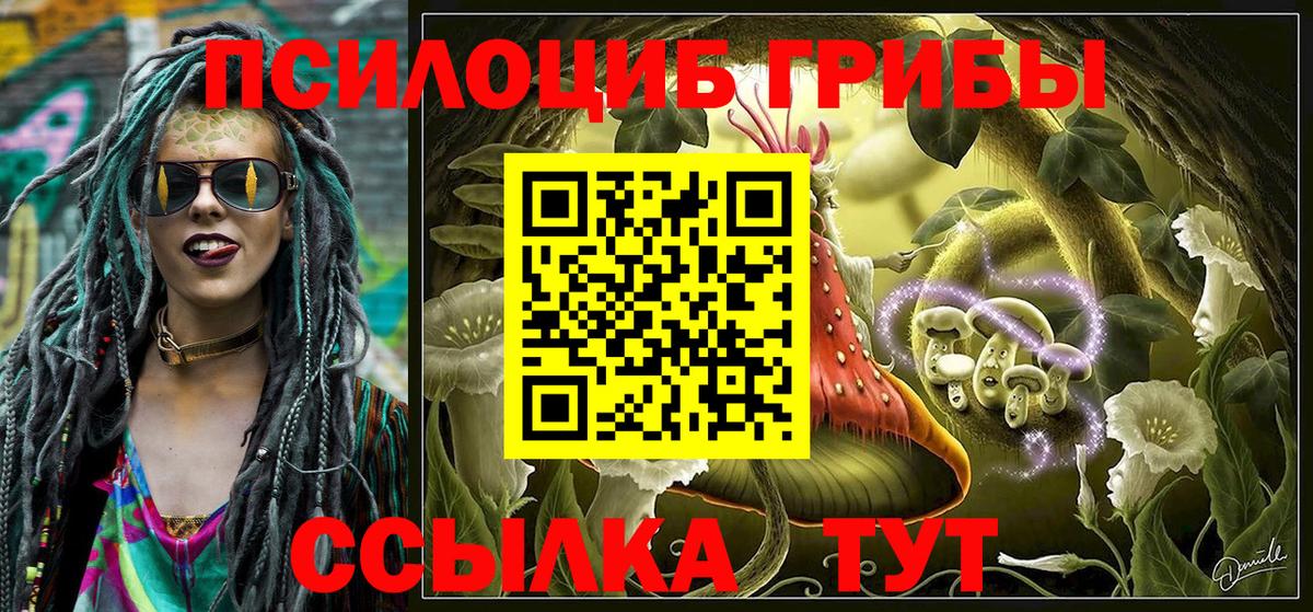 Галлюциногенные грибы прущие грибы  Псилоцибиновые грибы Psilocybe  Сегежа  Вход с VPN 