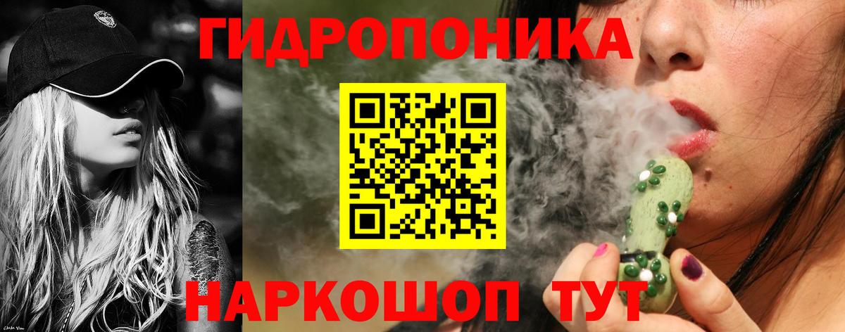 Бошки марихуана MAZAR  Вход с VPN  Бошки Шишки OG Kush  Сегежа  Конопля White Widow 